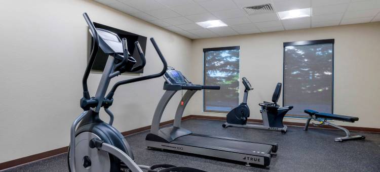 北曼凯托舒适酒店及套房(Comfort Inn & Suites)图片