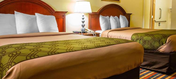 杰斐逊希尔斯公路51号伊克诺旅馆(Econo Lodge Jefferson Hills Hwy 51)图片