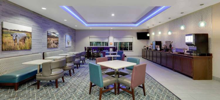 大斯普林拉昆塔温德姆套房酒店(La Quinta Inn & Suites by Wyndham Big Spring)图片