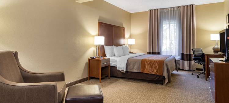 萨沃尼舒适套房酒店-秀格尔洛弗(Comfort Inn & Suites Suwanee - Sugarloaf)图片