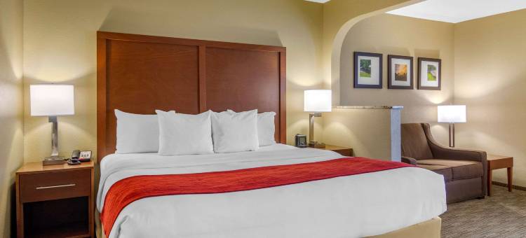 舒适套房酒店(Comfort Inn & Suites)图片