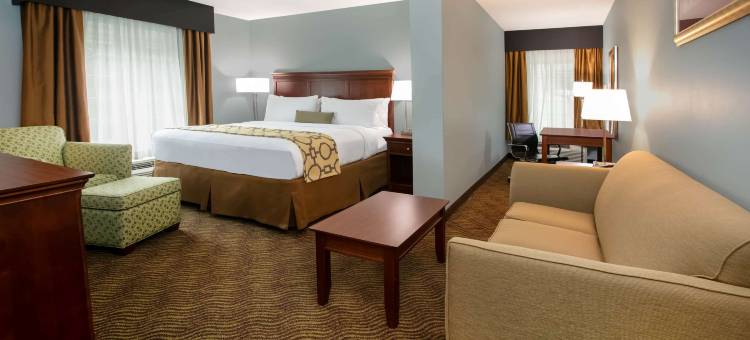 布拉塞尔顿温德姆呗盟酒店(Baymont by Wyndham Braselton / Winder)图片