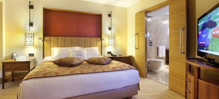 希尔顿逸林酒店-阿瓦诺斯-卡帕多西亚(DoubleTree by Hilton Avanos - Cappadocia)图片