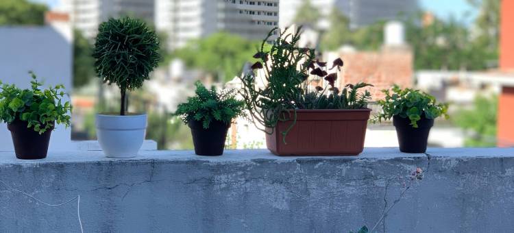 诺沃姆套房公寓式酒店(Novum Suites)图片