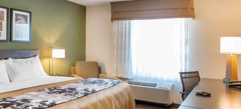 德福尼亚克泉舒眠套房酒店-克雷斯特韦(Sleep Inn & Suites Defuniak Springs - Crestview)图片