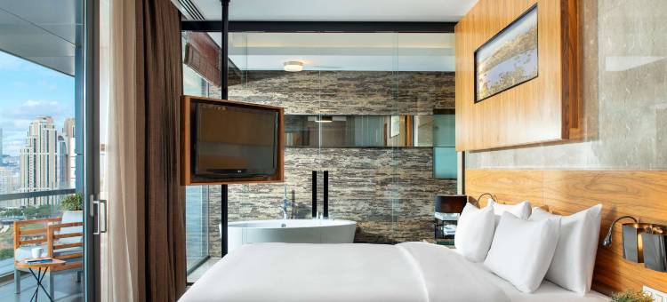 伊斯坦布尔亚洲丽笙酒店(Radisson Blu Hotel Istanbul Asia)图片