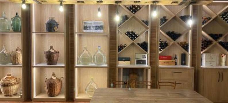 Guest House Domačija Krnc图片