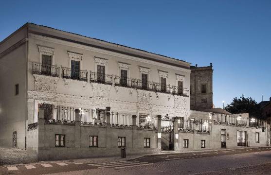 萨拉曼卡卡斯泰拉诺斯宫NH典藏酒店(NH Collection Salamanca Palacio de Castellanos)