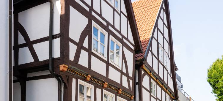 安纳花朵艺术酒店(Arthotel Ana Fleur)图片