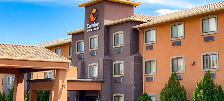 撒切尔舒适套房酒店(Comfort Inn & Suites Thatcher - Safford)图片