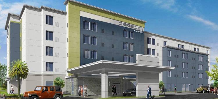 坦帕阳光海岸帕克威万豪SpringHill Suites酒店(SpringHill Suites Tampa Suncoast Parkway)图片