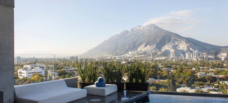蒙特雷哈比塔酒店 - 设计酒店会员(Habita Monterrey, a Member of Design Hotels)图片