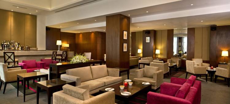 齐拉克普尔丽亭酒店(Park Plaza Zirakpur)图片