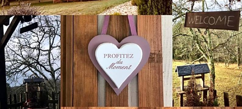 雄狮酒店(Le Lion d'Or en Perigord)图片