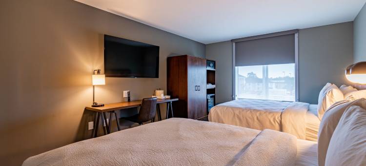 不伦瑞克福朋喜来登酒店(Four Points by Sheraton Brunswick)图片