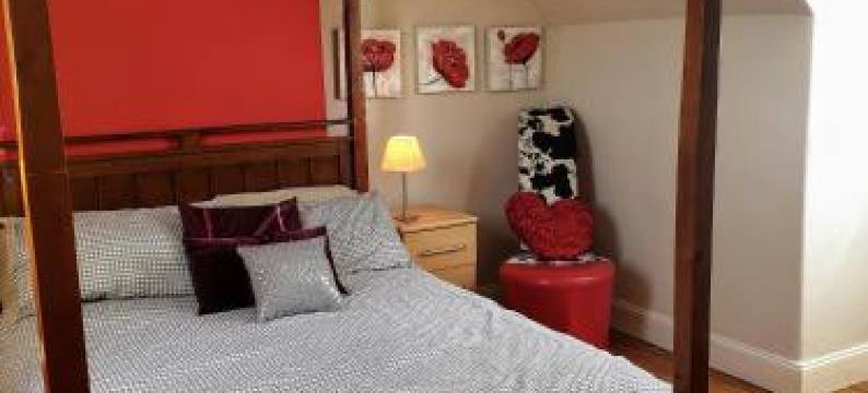 The Herring Queen图片