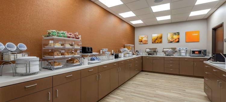 康福套房科罗拉多斯普林斯东-医疗中心区(Comfort Suites Colorado Springs East - Medical Center Area)图片