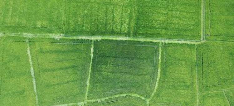 V Cabanas & Yala Safari Place图片