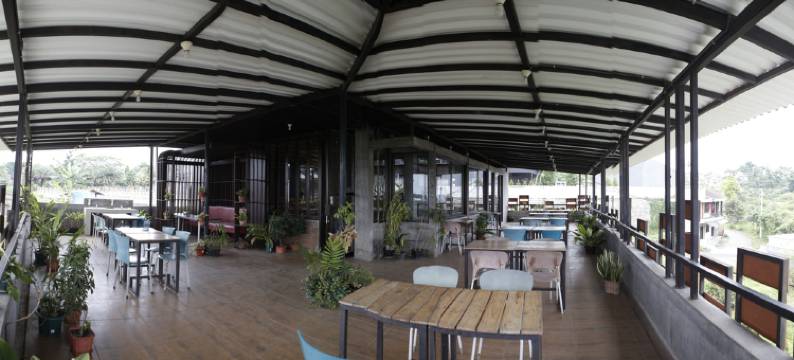 郁金香咖啡厅旅馆(Tulip Guest House & Cafe)图片