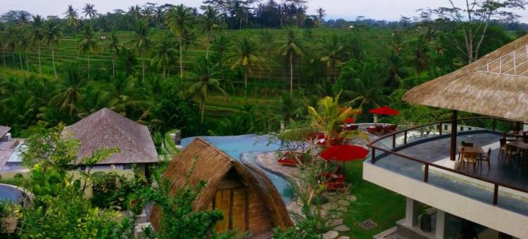 普利赛巴厘岛度假酒店(Puri Sebali Resort)图片