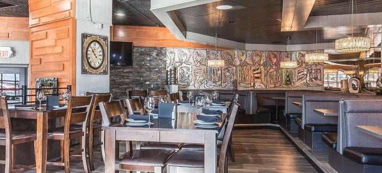 温德姆花园梅迪辛哈特会议中心(Wyndham Garden Medicine Hat Conference Center)图片