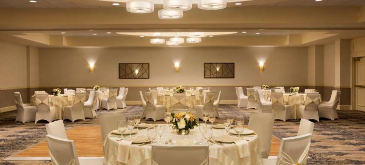 波士顿沃尔瑟姆希尔顿安泊酒店(Embassy Suites by Hilton Boston Waltham)图片