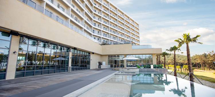 慈恩岛温德姆华美达广场酒店(Ramada Plaza by Wyndham Jaeun)图片