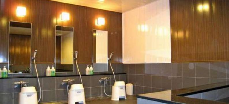 水户河畔酒店(Mito Riverside Hotel)图片