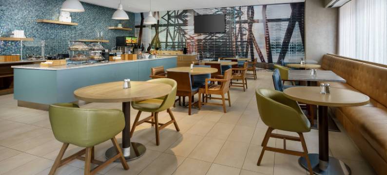 芝加哥市中心／河北岸万豪SpringHill酒店(SpringHill Suites Chicago Downtown/River North)图片