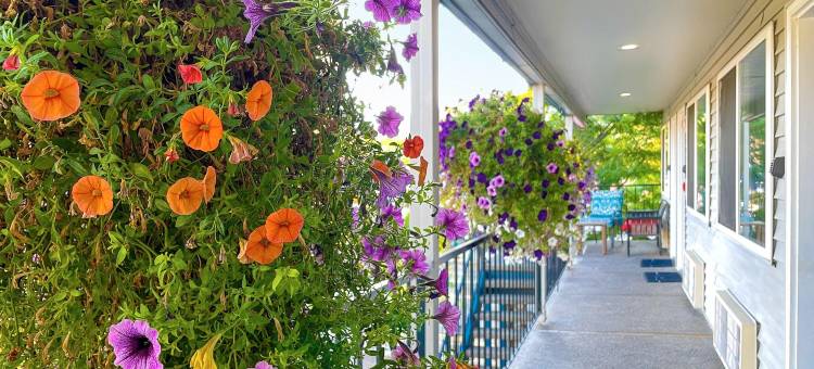 科达伦城市旅馆度假村(Resort City Inn Coeur D Alene)图片