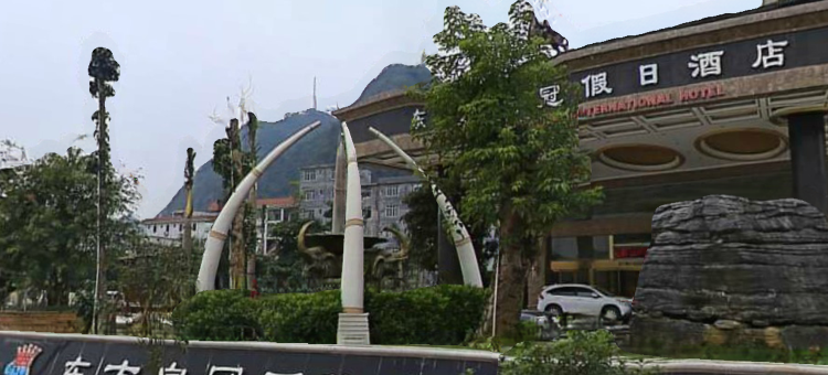 天等东方皇冠假日酒店图片