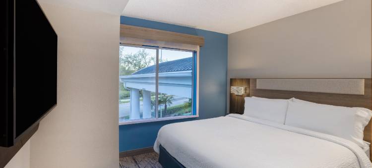 坦帕I-75布鲁斯B唐斯智选假日套房酒店(Holiday Inn Express & Suites Tampa-I-75 @ Bruce B. Downs)图片