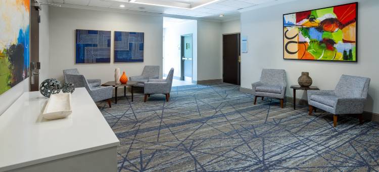 坦帕I-75布鲁斯B唐斯智选假日套房酒店(Holiday Inn Express & Suites Tampa-I-75 @ Bruce B. Downs)图片