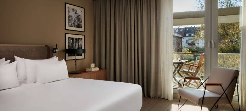 海德堡 NH 精选酒店(NH Collection Heidelberg)图片