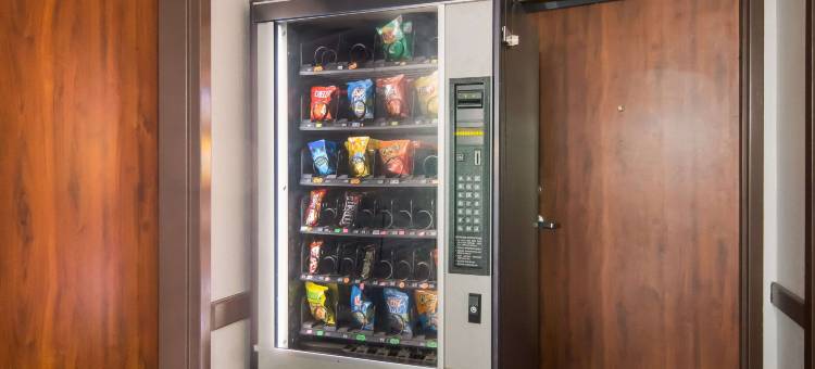 凯艺套房酒店(Quality Inn & Suites)图片