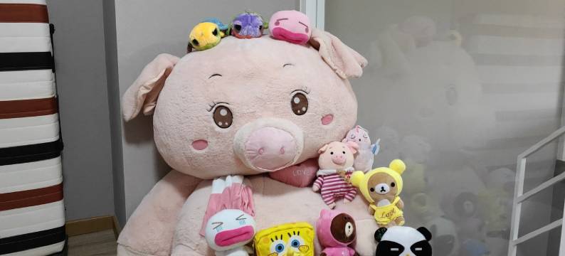 熊面面公寓(桂畔路分店)图片