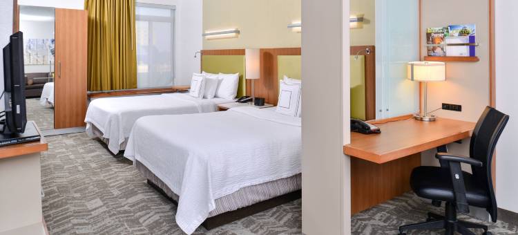 罗穆勒斯底特律都会机场万豪SpringHill酒店(SpringHill Suites Detroit Metro Airport Romulus)图片