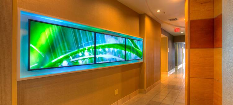 坦帕布兰登万豪SpringHill酒店(SpringHill Suites Tampa Brandon)图片