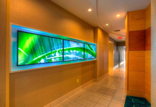 SpringHill Suites Tampa Brandon Hotel Overview