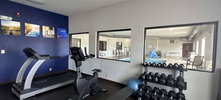 杰克逊开普吉拉多舒适套房酒店(Comfort Suites Jackson-Cape Girardeau)图片