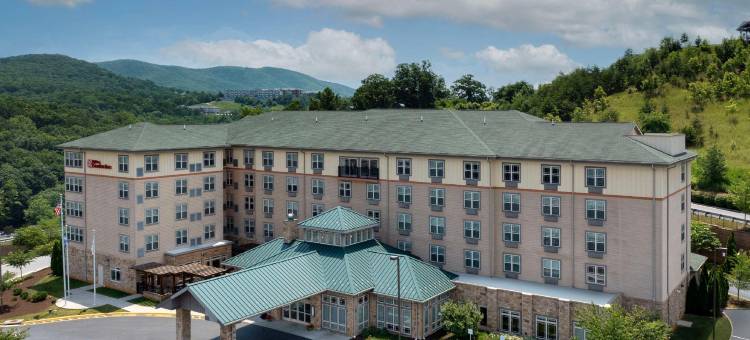 罗阿诺克希尔顿花园酒店(HIlton Garden Inn Roanoke)图片