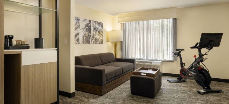 沃斯堡大学SpringHill Suites 酒店(SpringHill Suites Fort Worth University)图片