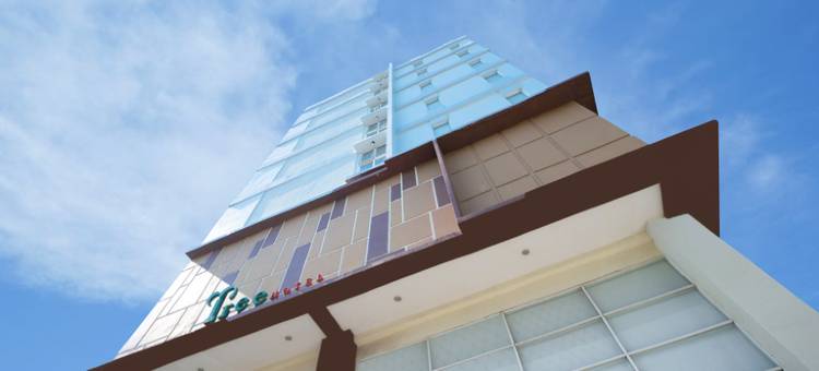 树酒店(Tree Hotel)图片