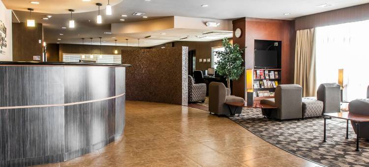 霍布斯美茵斯坦套房酒店(MainStay Suites Hobbs)图片