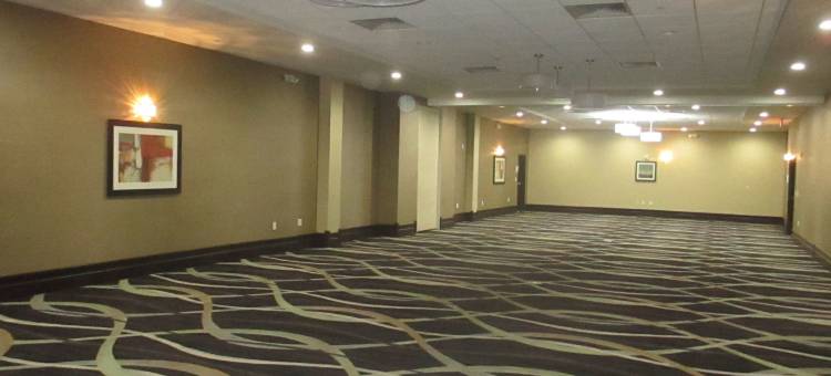 Holiday Inn 萨莱纳东(Holiday Inn Salina)图片