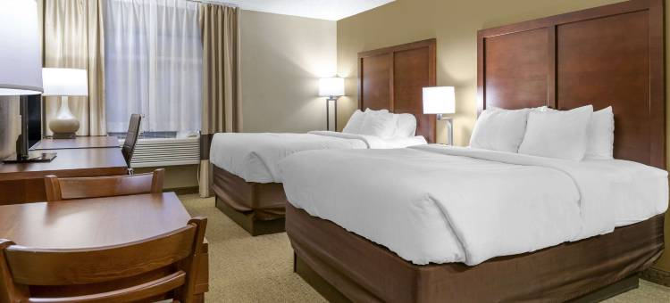 舒适酒店(Comfort Inn)图片