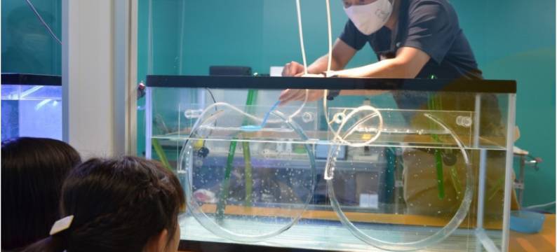 中伊豆酒庄山酒店(Hotel Winery Hill)图片