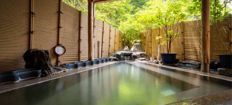 吹之汤旅馆(Fukinoyu)图片