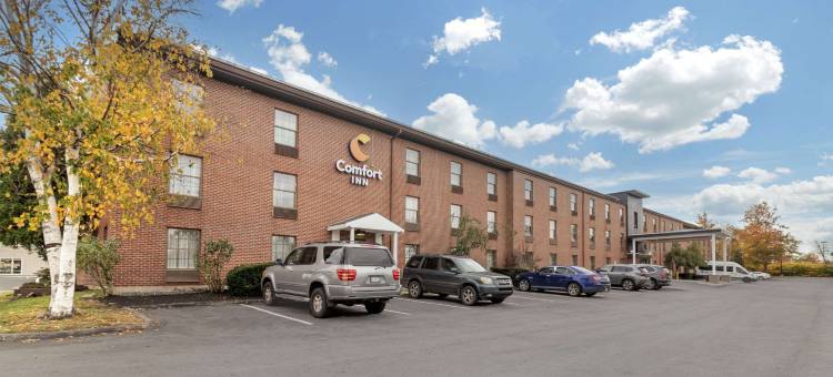 机场舒适酒店(Comfort Inn Airport)图片