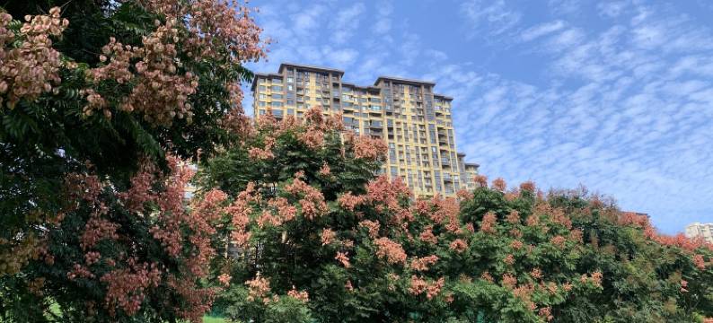 兰溪地暖临近丽景门应天门天堂明民宿(玉屏路分店)图片